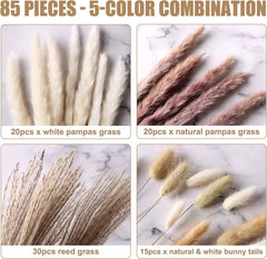 Boho Chic 85-Piece Natural Dried Pampas Grass Bouquet for Wedding and Home Decor - JD Gifts