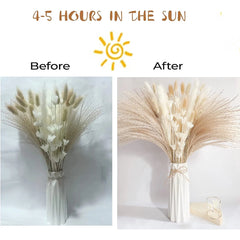 Boho Chic 85-Piece Natural Dried Pampas Grass Bouquet for Wedding and Home Decor - JD Gifts